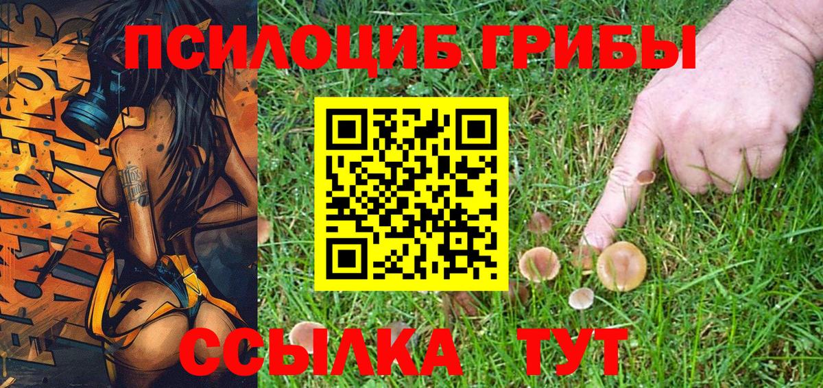 хочу наркоту  Галлюциногенные грибы Psilocybe  Вход с VPN  Минеральные Воды 